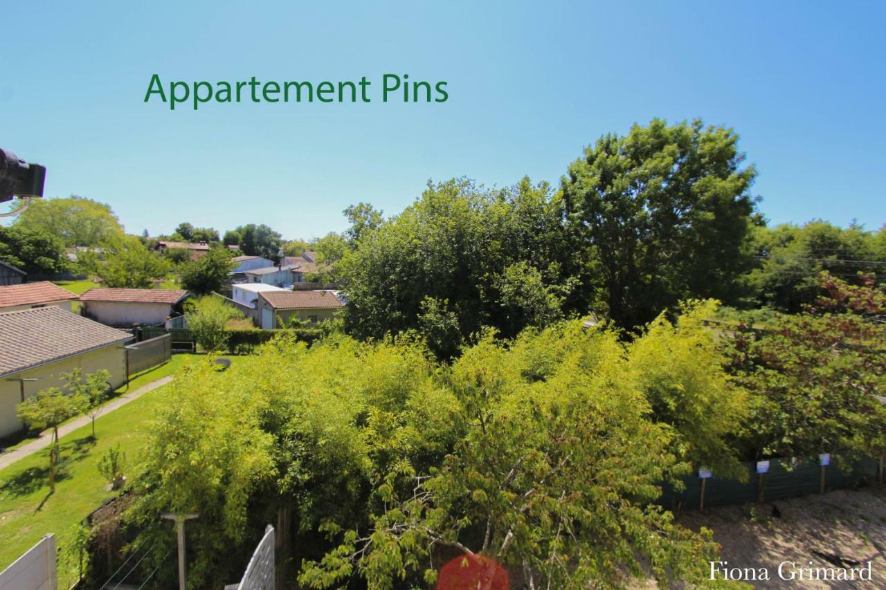 Bureaux Appartements Lesparre Medoc Eksteriør billede
